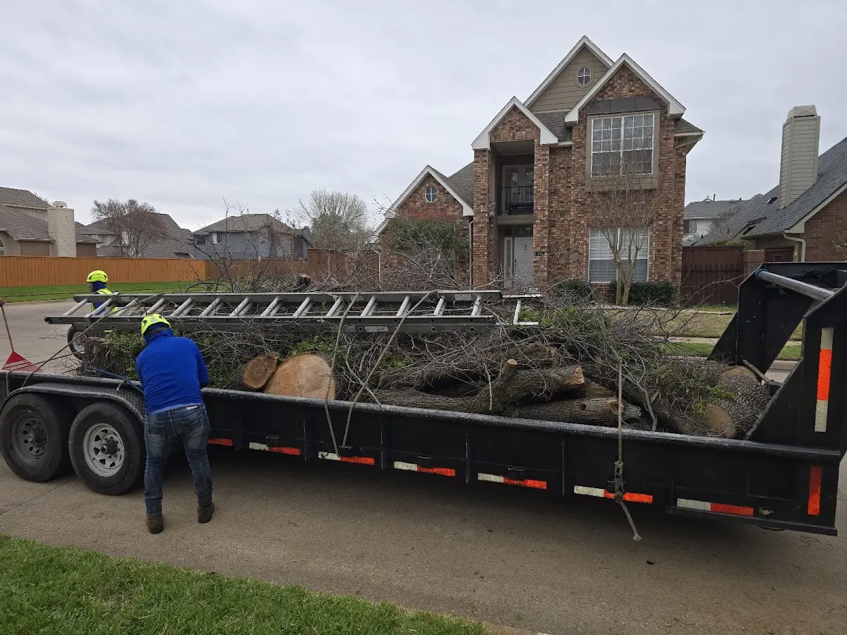 Expert Tree Fertilization with proper safety equipment in Fries